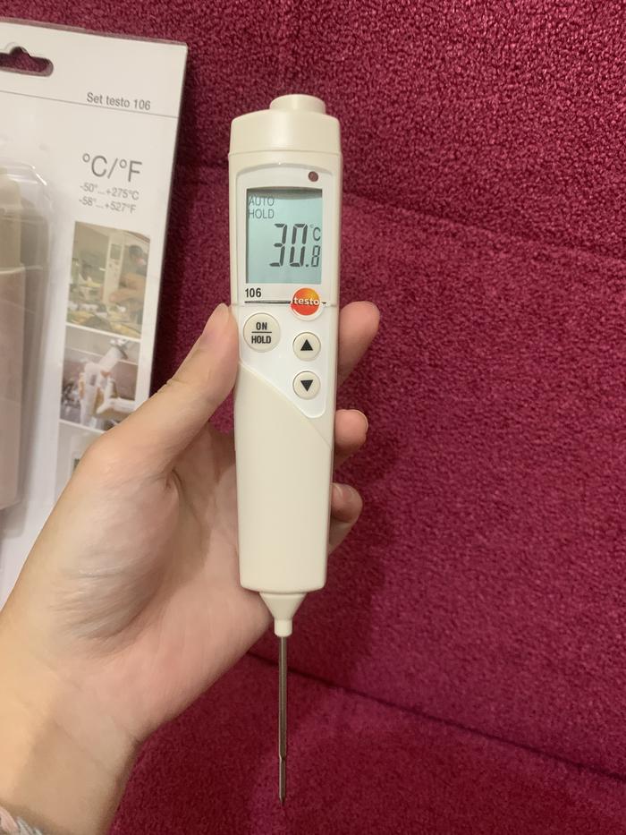 Thermometer Digital Food For Food Completed with Silicon and TESTO 106