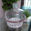 Vacuum Desiccator 5311-0250 With Plate Nalgene Thermo Scientific